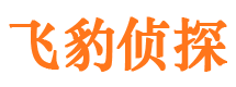 施甸飞豹私家侦探公司